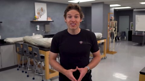 What happens in the body during inflammation