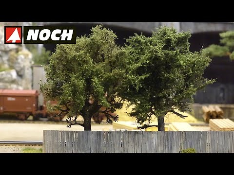 In a few steps foliage trees and bushes | Landscape greening