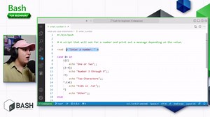 What are Case Statements in Bash? (Part 16 of 20)
