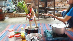 Amazing Monkey Dodo Carry Vegetables Bag To Cook Fish Heads Sour Soup For Whole Family | Monkey Dodo