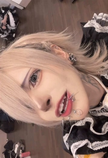 Cat Meme Compilation: Hilarious Moments