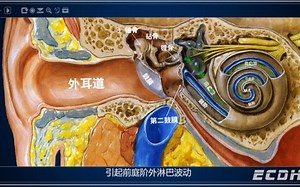 原来声音是这样被我们感知（声波的气传导途径）