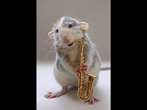 Saxophone Duet -Bourbon Street Blues - Beginner/easy