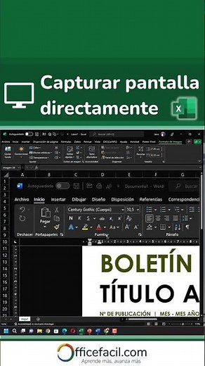 Capture screenshot | screenshot #excel #office