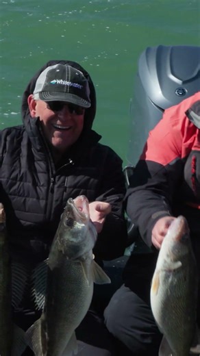 Early Season Walleye Madness in Monroe, Michigan! | Fisherman's Digest Teaser