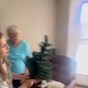 Ivy and Gwenda put up the Christmas tree. 🌲 | Roger Campbell