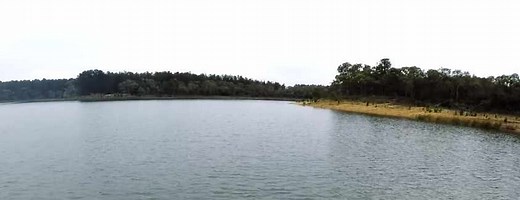 Stony Creek Reservoir Fishing Guide | Melbourne & Victoria