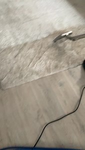 Professional carpet cleaning Any 3 carpets cleaned and protected for £60 Also package deal 3 carpets and a suite £100 16 years of experience in carpet care Call or text Paul 07742153682 or add us on Facebook We take a small deposit on booking Thanks Paul | Pg Carpet Cleaning