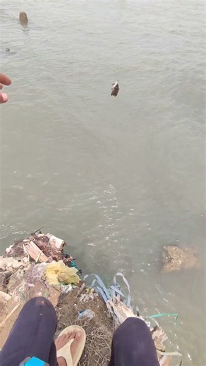 fishing for grouper in the open sea