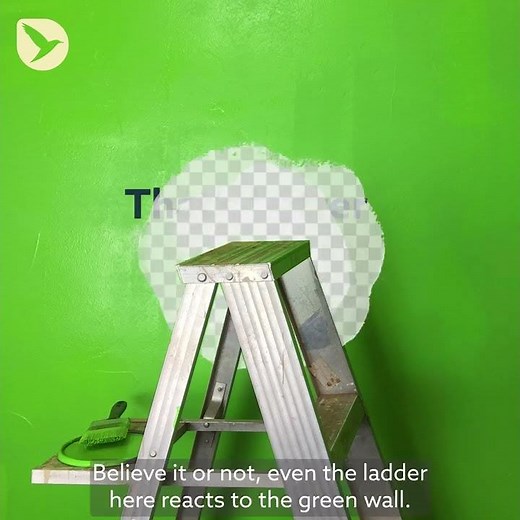 Motion Design Essentials 26: Reactions
