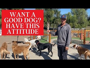 Learn the "go get" method for Recall and Drop it.