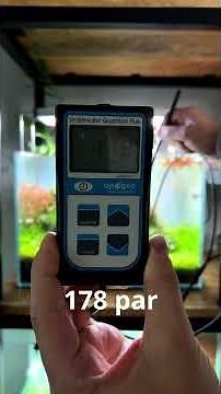 Testing PAR Levels With Popular Aquarium Lights! Who Wins? #shorts