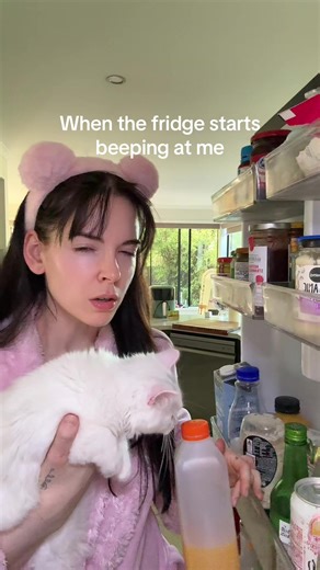 How to Handle Fridge Beeping