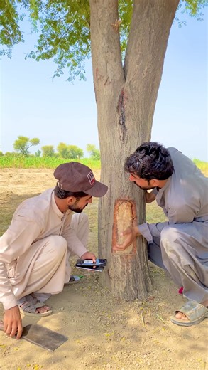 Tree sy mobile kasye nikalye | Team AMK