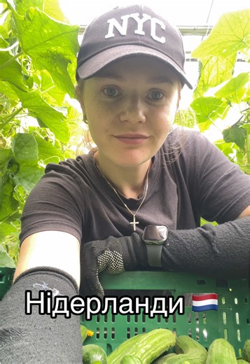 Життя в Нідерландах: Робочі Будні та Особистий Досвід