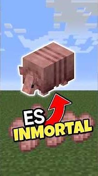 Easy Infinite Armadillo Farm Minecraft 1.21