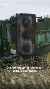 9.2 meter breed, 10 rotors, 40 lemme. "Ons het waarskynlik al 1800-2000 akker gedek met die stel lemme wat tans daar op is," sê Perry McNatt van McNatt Farms, Alabama. See the MAJOR CYCLONE at NAMPO 📅 13 - 16 May | NAMPO Park, Bothaville 🚩 Valtrac Stand E34 & E35 Skakel Valtrac Suid-Afrika 📞 056 818 1006 / 056 817 8006 | Major Equipment