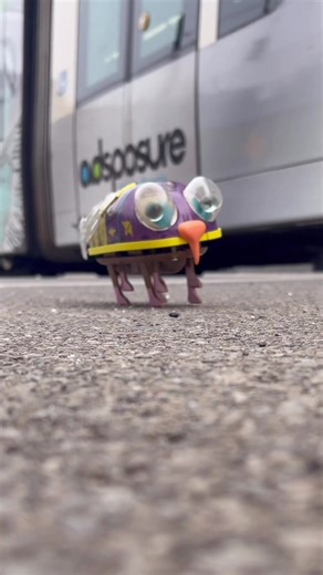 Cincinnati Cicada: February Stroll Insights