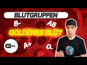 Blutgruppen - Welche ist am GEFÄHRLICHSTEN?
