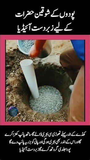 Smart Planting Trick Using Gravel Pipe | Grow Plants Faster & Healthier 🌱
