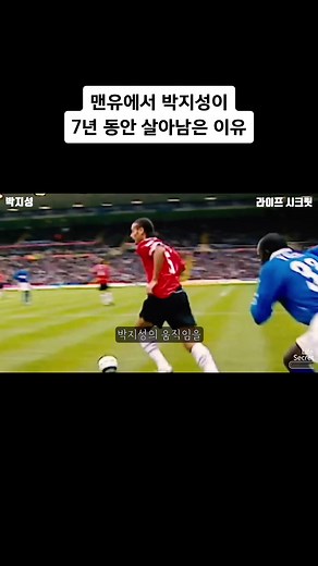 박지성: 맨유에서 7년 동안 살아남은 이유