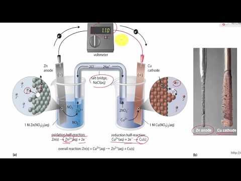 Describe the function of a salt bridge.