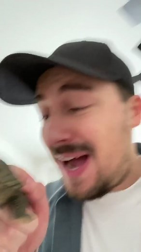 Captivating Tortoise: Close-Up of Unique Shell Patterns