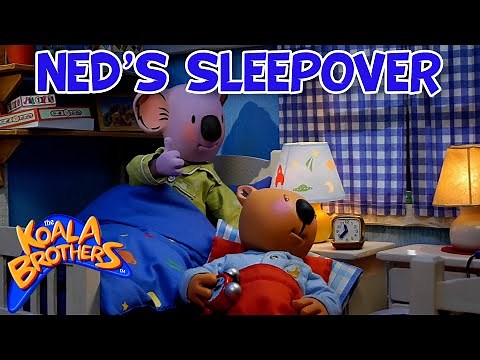 Ned's Sleepover 😴🥱 | ‪@KoalaBrothersTV‬ | #KoalaClips | Animation for Kids