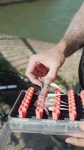 Capt'n Greefin in der OLC!