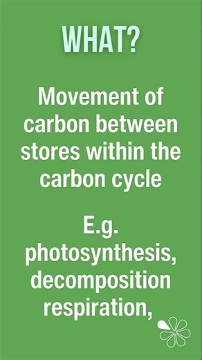 60 Second Geography | AQA A-Level Geography | Carbon Flows (Water and Carbon Cycles 14)