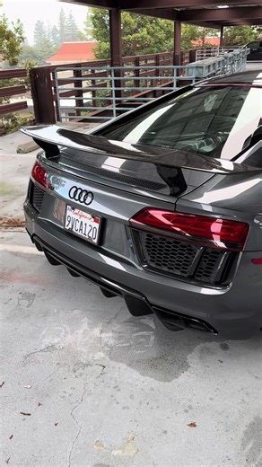 Exploring the True Euro Spec Audi R8