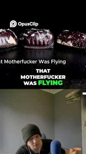 Roach Invasion Witness the Unseen World of Cockroach Life Cycle
