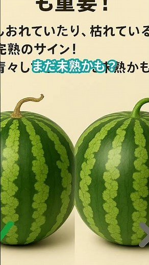 美味しいスイカの見分け方