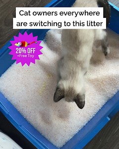 341K views · 2.8K reactions | The most innovative solution to your litter box problems. | PrettyLitter | Facebook