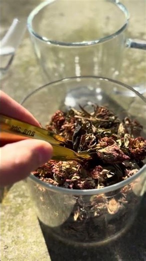 Red Clover for Hormonal Acne — Here's Why It Works