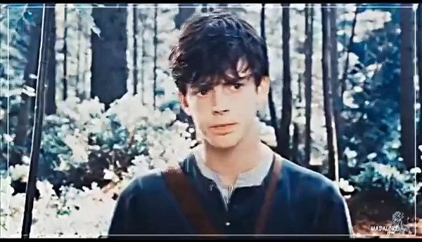 Walk... #narnia #narniaedmund #chronikenvonnarnia #edmundpevensie