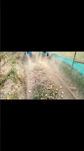 Digging potatoes by machine in the field // खेतो में मशीन द्वारा आलू की खुदाई ‪@desientertainment71‬