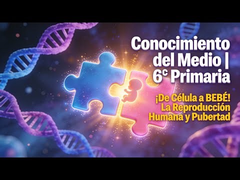 ¡De Célula a BEBÉ! La Reproducción Humana y Pubertad | Conocimiento del Medio 6º Primaria