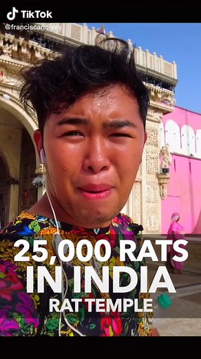 Temple of Rats in India