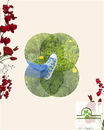 Smile Pattern High Top Canvas Shoes – Men's Trendy Sneakers