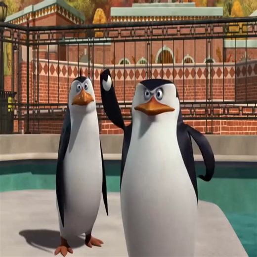 Los Pingüinos de Madagascar Capítulo 5 – El lanzamiento #Parte 1 | New Viral Clips