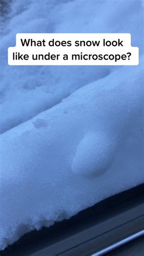 Exploring Snow Under a Microscope