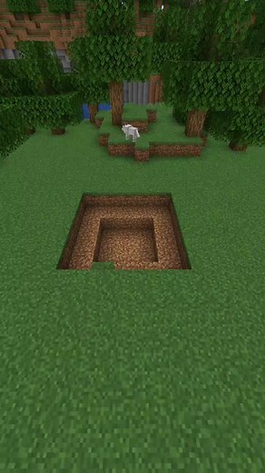 Building a Minecraft House with One Block