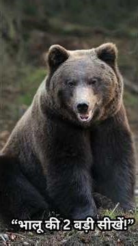 👉 “Bear की अनोखी बातें | भालू से ज़िंदगी की सीखें”📝