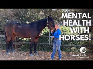Discover the Power of Equine Assisted Psychotherapy for Mental Health | The Shea Center