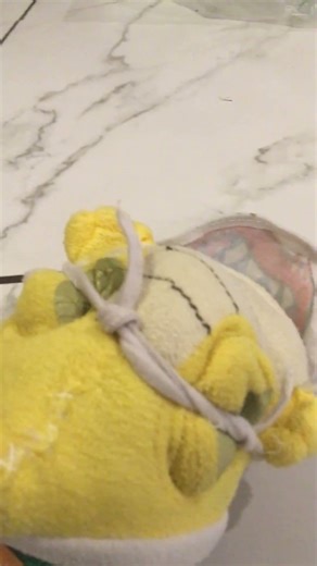 Bowser Jr. plush force-hidden in his shell.
