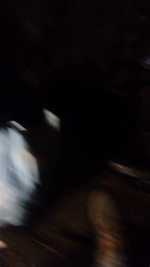 Brandon Hatley on Reels