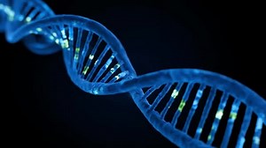 DNAの二重らせん構造と分子の動画｜無料の動画素材サイト「動画AC」