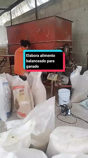 Alimento Balanceado para Ganado: Cómo Prepararlo con ALITEX