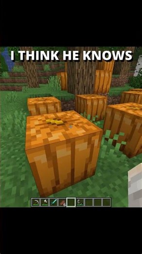 COMMENT IF YOU USE CHEATS IN MINECRAFT WITH YOUR HOMIES